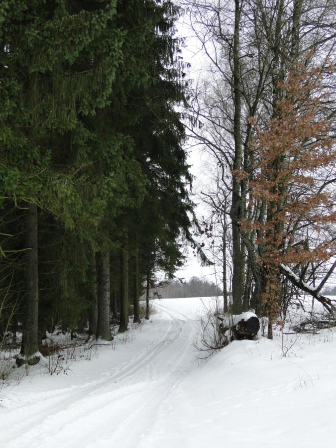 Agroturystyka Zywe 克鲁克兰基 外观 照片