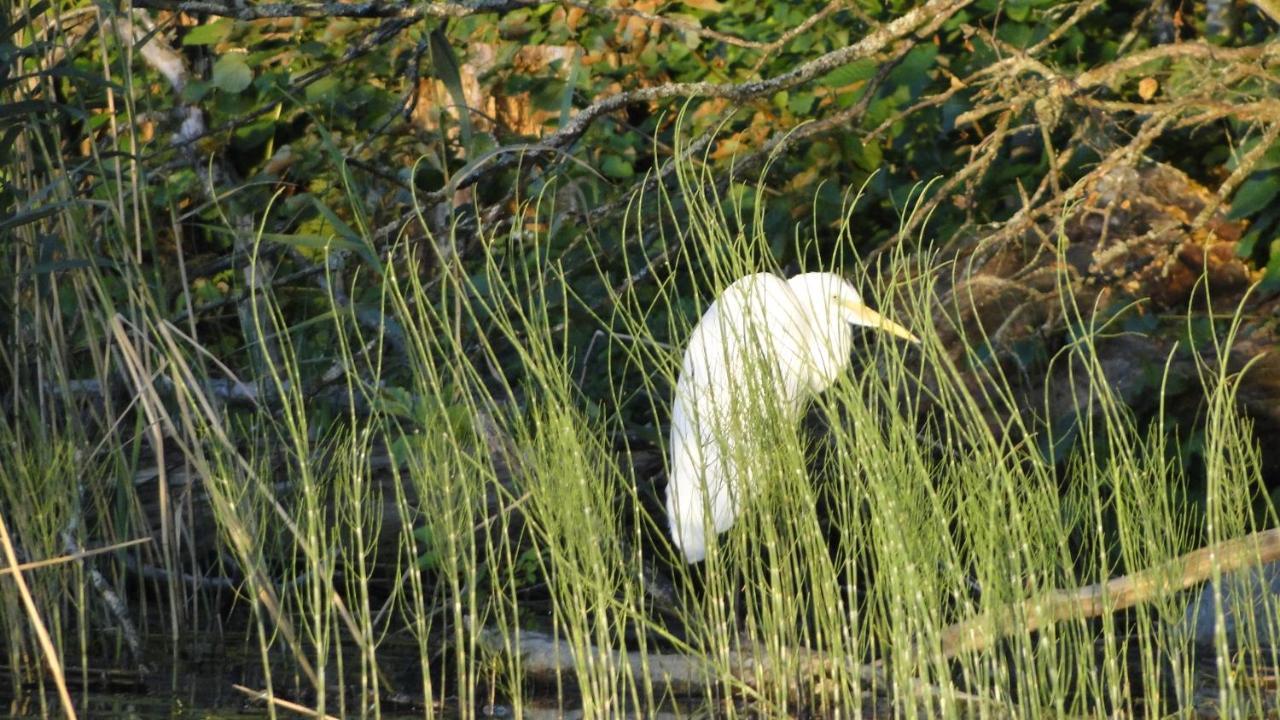 Agroturystyka Zywe 克鲁克兰基 外观 照片