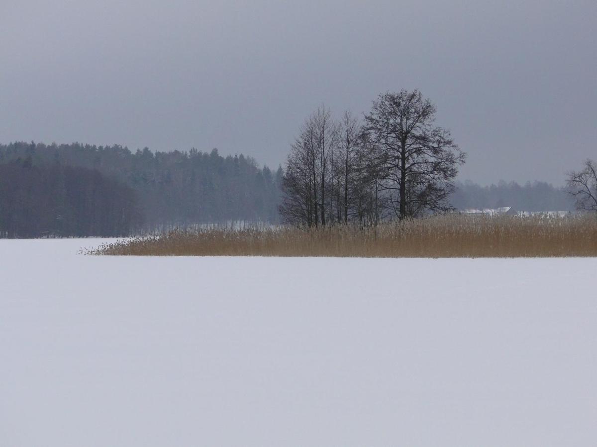 Agroturystyka Zywe 克鲁克兰基 外观 照片