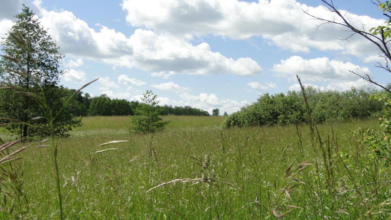 Agroturystyka Zywe 克鲁克兰基 外观 照片