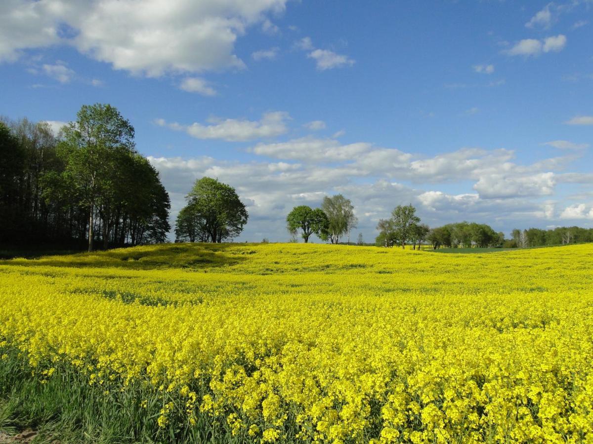 Agroturystyka Zywe 克鲁克兰基 外观 照片