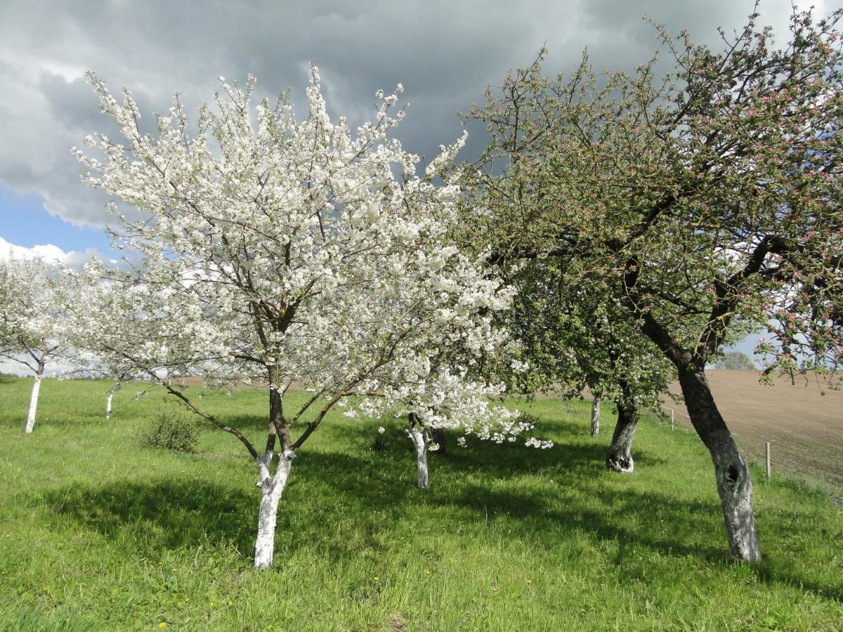 Agroturystyka Zywe 克鲁克兰基 外观 照片