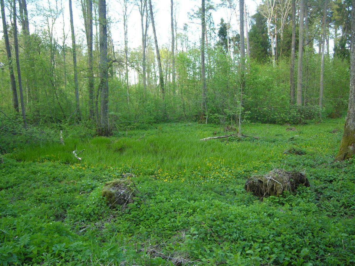 Agroturystyka Zywe 克鲁克兰基 外观 照片