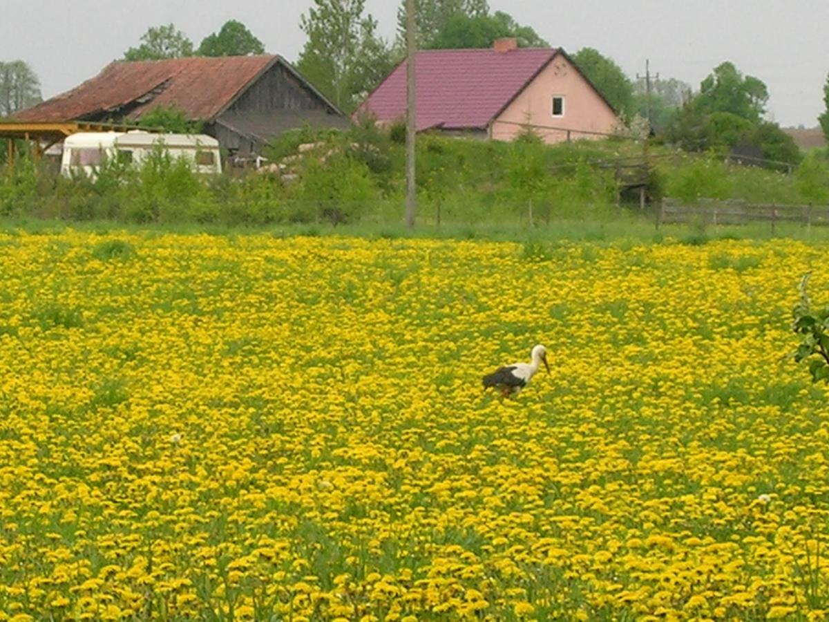 Agroturystyka Zywe 克鲁克兰基 外观 照片