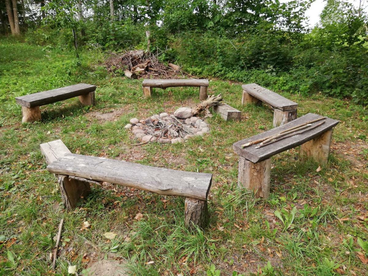 Agroturystyka Zywe 克鲁克兰基 外观 照片