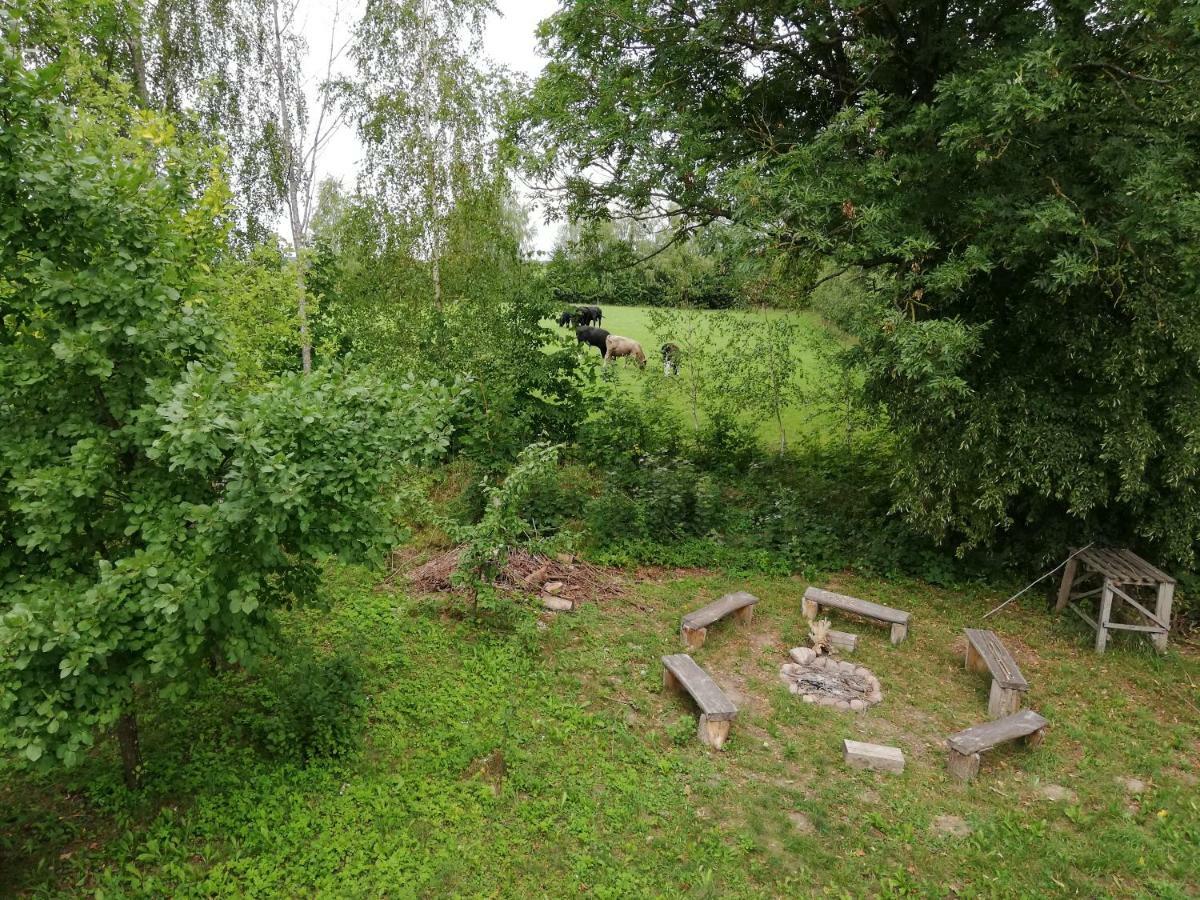 Agroturystyka Zywe 克鲁克兰基 外观 照片